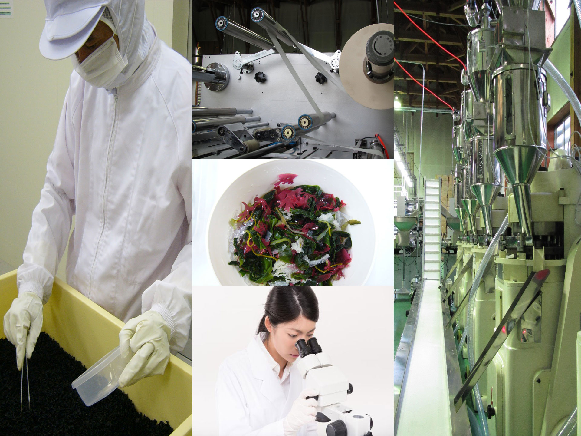 キョウワ ネットワーク 製造工場